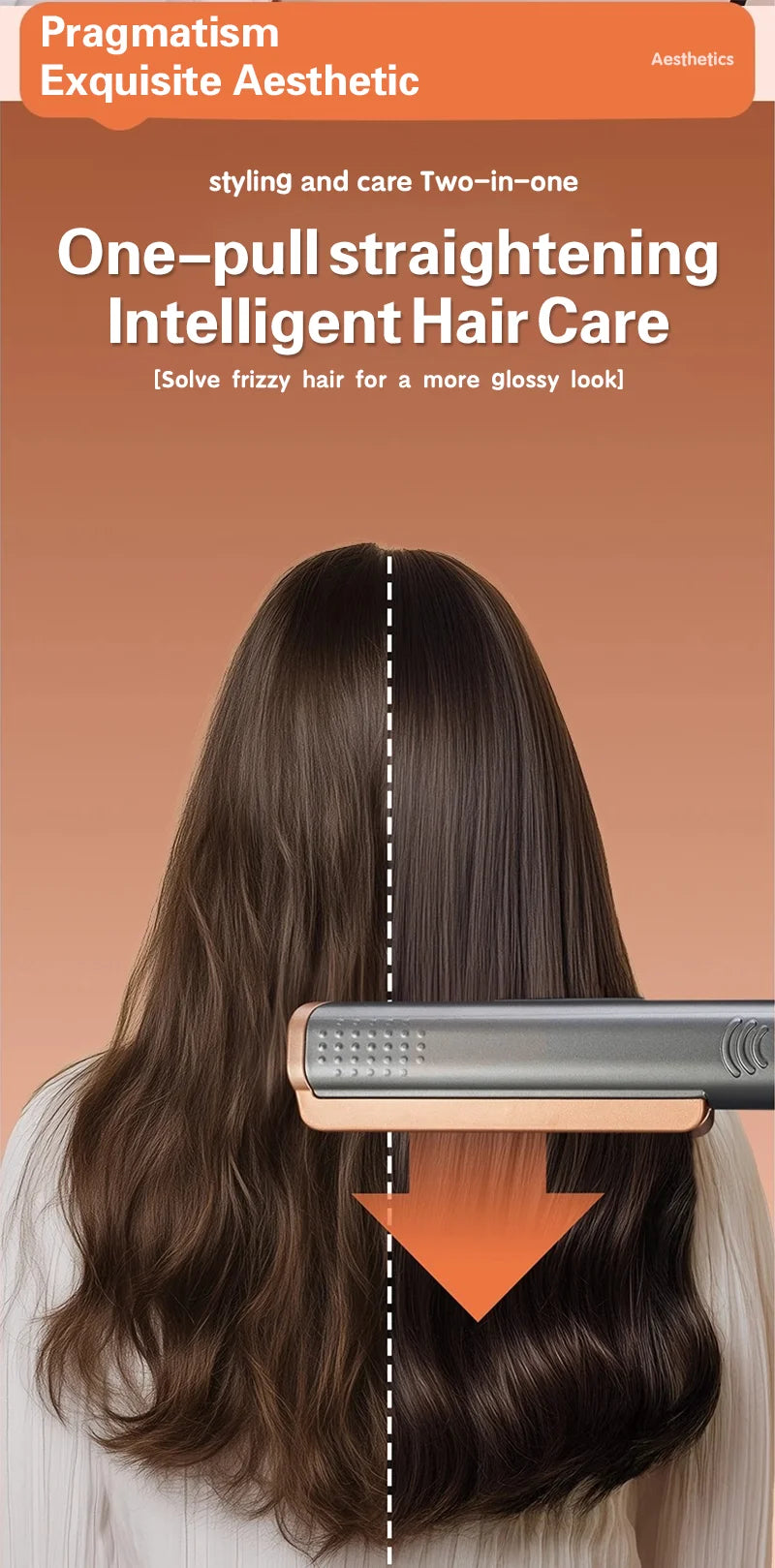 2 in 1 Hair Glätteisen - Föhn für Professional Haare Glätten